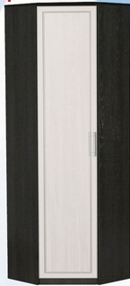 Шкаф для одежды угловой ДЛЯ ГОСТИНОЙ ШОУ-695 Венге/Дуб выбеленный в Калуге - kaluga.katalogmebeli.com | фото